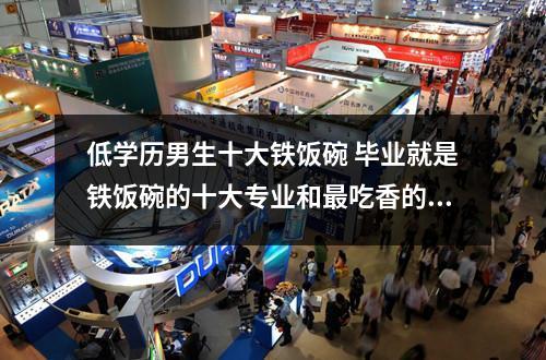 低学历男生十大铁饭碗 毕业就是铁饭碗的十大专业和最吃香的铁饭碗专业盘点