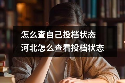 怎么查自己投档状态 河北怎么查看投档状态
