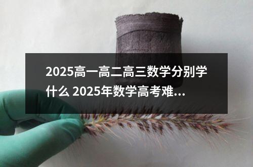 2025高一高二高三数学分别学什么 2025年数学高考难度多大