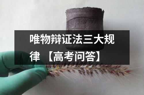 唯物辩证法三大规律 【高考问答】