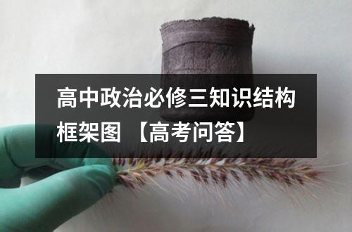 高中政治必修三知识结构框架图 【高考问答】