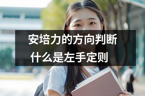 安培力的方向判断 什么是左手定则