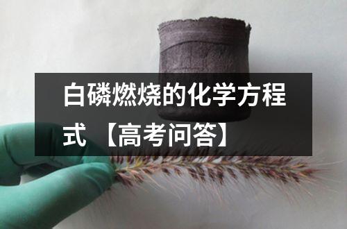 白磷燃烧的化学方程式 【高考问答】
