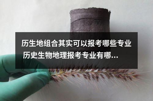 历生地组合其实可以报考哪些专业 历史生物地理报考专业有哪些