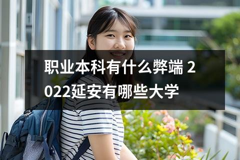 职业本科有什么弊端 2022延安有哪些大学