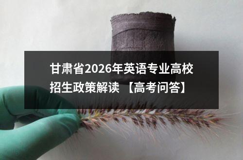 甘肃省2026年英语专业高校招生政策解读 【高考问答】
