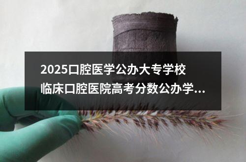 2025口腔医学公办大专学校 临床口腔医院高考分数公办学校