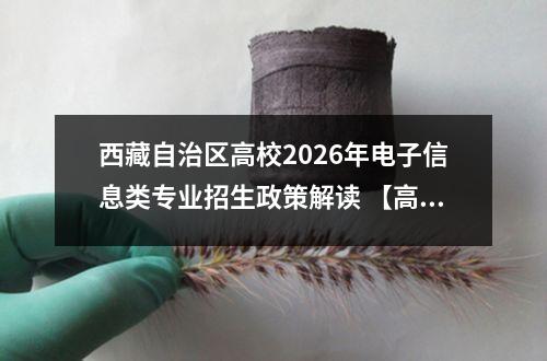 西藏自治区高校2026年电子信息类专业招生政策解读 【高考问答】