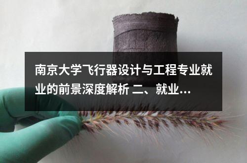 南京大学飞行器设计与工程专业就业的前景深度解析 二、就业方向与行业趋势