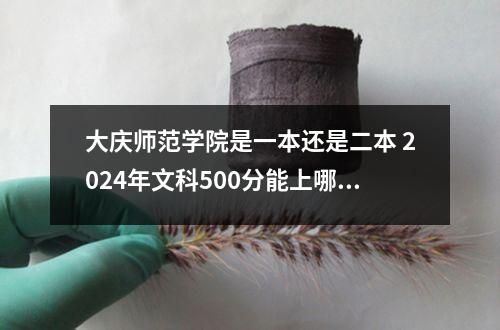 大庆师范学院是一本还是二本 2024年文科500分能上哪些公办大学