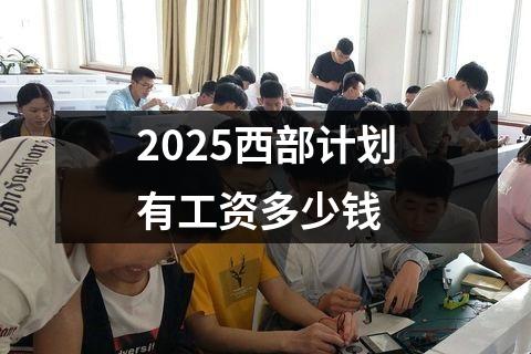 2025西部计划有工资多少钱
