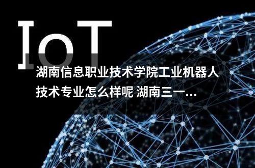 湖南信息职业技术学院工业机器人技术专业怎么样呢 湖南三一工业职业技术学院怎么样呢及评价好吗