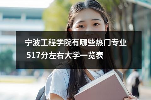宁波工程学院有哪些热门专业 517分左右大学一览表