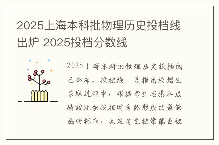 2025上海本科批物理历史投档线出炉 2025投档分数线