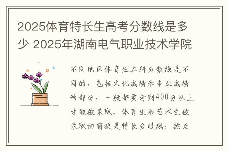 2025体育特长生高考分数线是多少 2025年湖南电气职业技术学院单招招生计划及专业