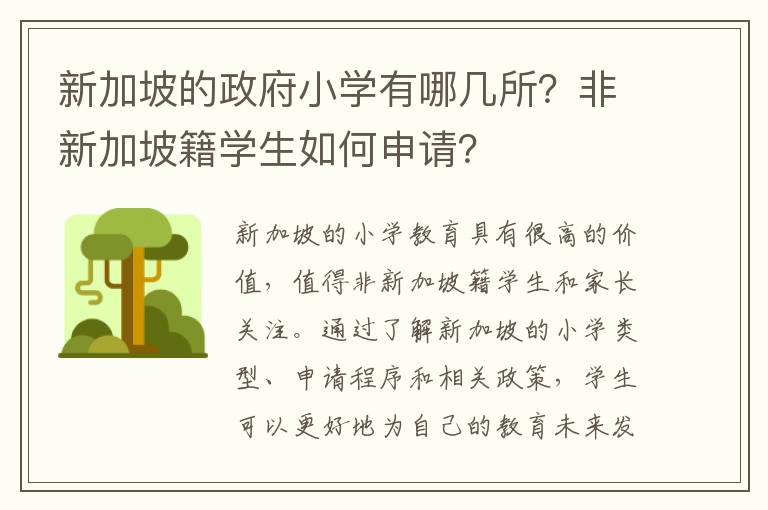 新加坡的政府小学有哪几所？非新加坡籍学生如何申请？