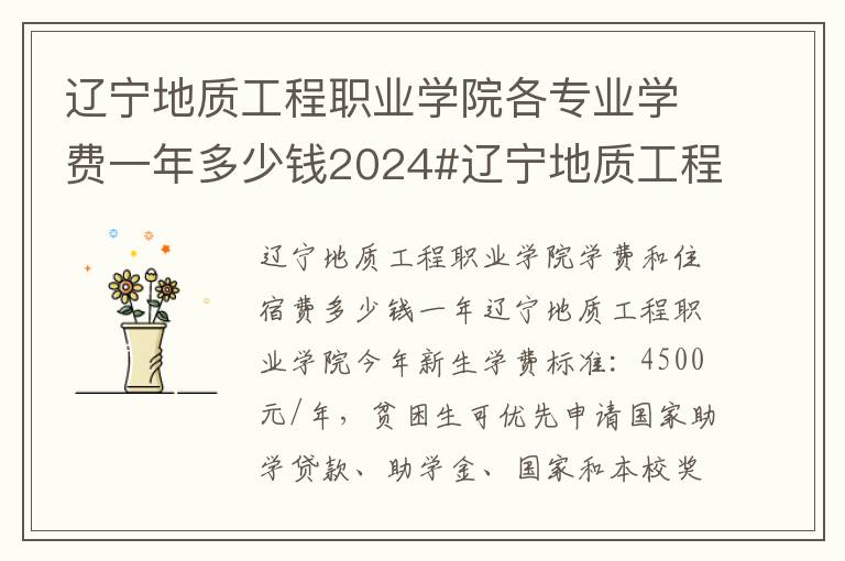 辽宁地质工程职业学院各专业学费一年多少钱2024#辽宁地质工程职业学院学费