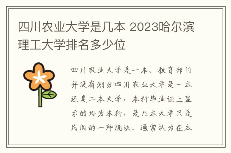 四川农业大学是几本 2023哈尔滨理工大学排名多少位