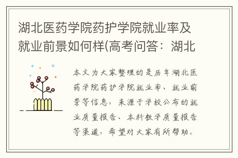 湖北医药学院药护学院就业率及就业前景如何样(高考问答:湖北医药学院药护学院报考指导)