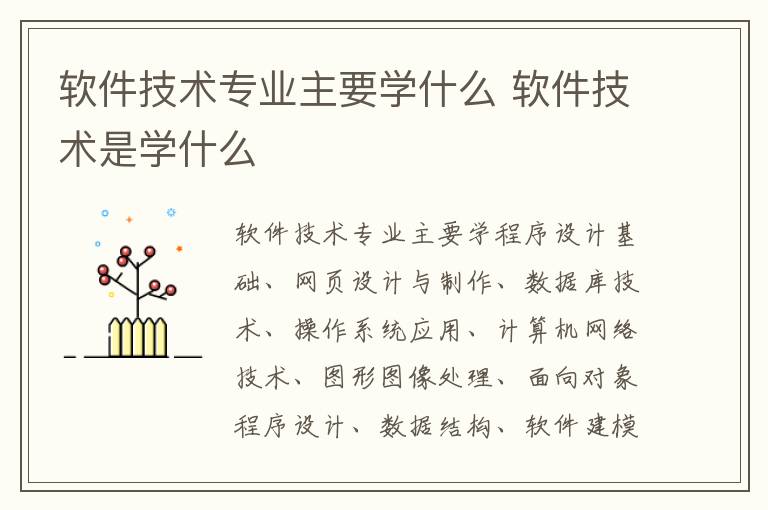 软件技术专业主要学什么 软件技术是学什么