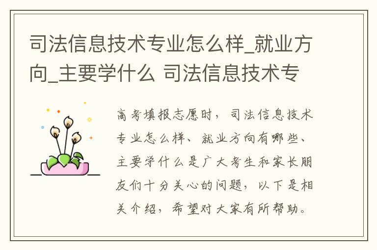 司法信息技术专业怎么样_就业方向_主要学什么 司法信息技术专业怎么样和主要学什么课程