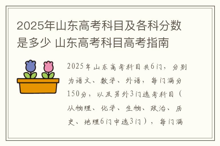 2025年山东高考科目及各科分数是多少 山东高考科目高考指南