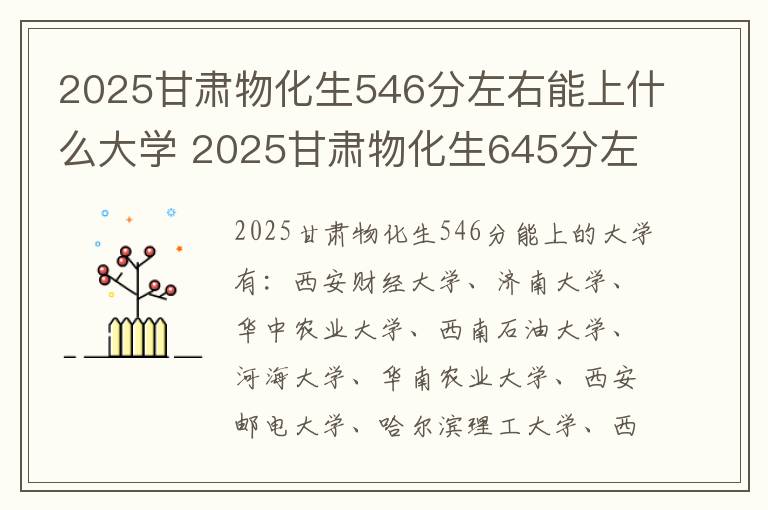 2025甘肃物化生546分左右能上什么大学 2025甘肃物化生645分左右能上什么大学