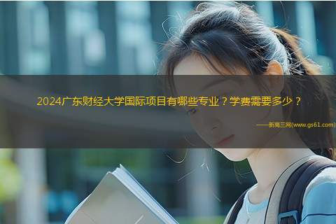 2024广东财经大学国际项目有哪些专业？学费需要多少？