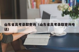 山东省高考录取查询（山东省高考录取查询电话）