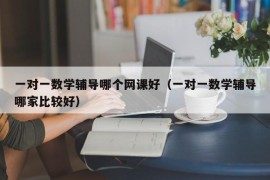 一对一数学辅导哪个网课好（一对一数学辅导哪家比较好）