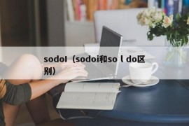 sodoI（sodoi和so l do区别）