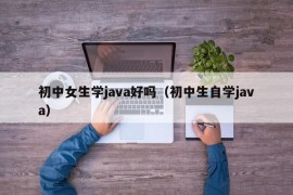 初中女生学java好吗（初中生自学java）