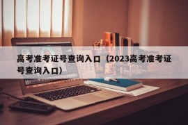 高考准考证号查询入口（2023高考准考证号查询入口）