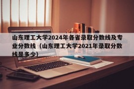 山东理工大学2024年各省录取分数线及专业分数线（山东理工大学2021年录取分数线是多少）