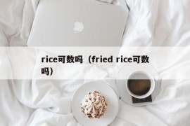 rice可数吗（fried rice可数吗）