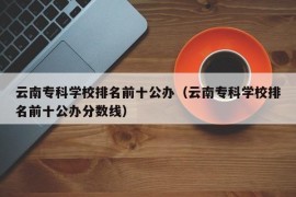 云南专科学校排名前十公办（云南专科学校排名前十公办分数线）