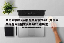 中南大学综合评价招生简章2020（中南大学综合评价招生简章2020分数线）