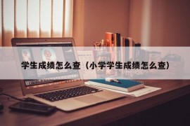 学生成绩怎么查（小学学生成绩怎么查）