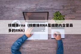 核糖体rna（核糖体RNA是细胞内含量最多的RNA）