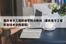 重庆电子工程职业学院分数线（重庆电子工程职业技术学院录取）