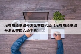 没有成绩单编号怎么查四六级（没有成绩单编号怎么查四六级手机）