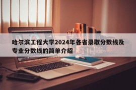 哈尔滨工程大学2024年各省录取分数线及专业分数线的简单介绍