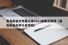 青岛农业大学是几本2023录取分数线（青岛农业大学几本学校）