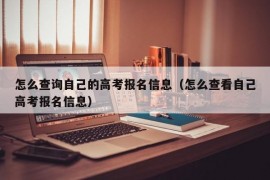 怎么查询自己的高考报名信息（怎么查看自己高考报名信息）