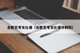 合肥艺考文化课（合肥艺考文化课冲刺班）