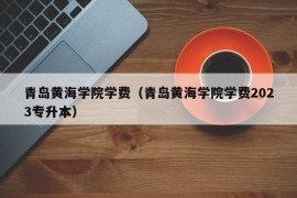 青岛黄海学院学费（青岛黄海学院学费2023专升本）