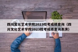 四川文化艺术学院2023校考成绩查询（四川文化艺术学院2023校考成绩查询表演）