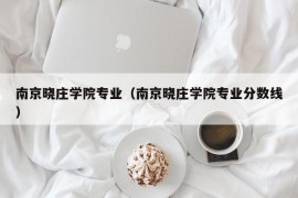 南京晓庄学院专业（南京晓庄学院专业分数线）