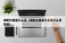 绿肥红瘦是什么花（绿肥红瘦是什么花什么意思啊）