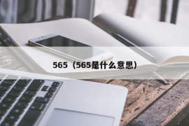 565（565是什么意思）